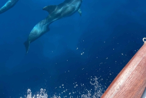 Solnedgangscruise på Athen-rivieraen – Halvdag med svømning og grill om bord