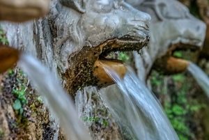 Från Aten: Dagsutflykt till ön Andros