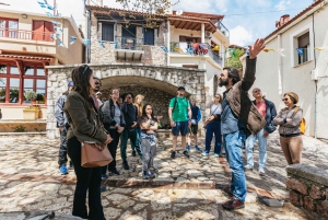 From Athens: Day Trip to Delphi and Arachova