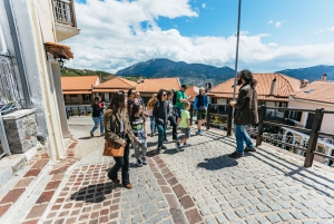 From Athens: Day Trip to Delphi and Arachova