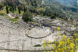 De Atenas: Viagem de um dia para Delfos e Arachova