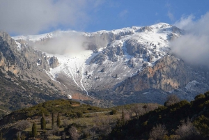 From Athens: Delphi, Arachova and Chaerone Pivate Day Tour