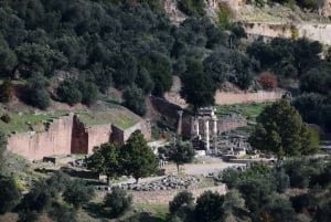 Vanuit Athene: Delphi, Arachova en Chaerone Pivate Day Tour