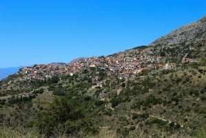 Vanuit Athene: Delphi Private Day Tour met kloosterbezoek