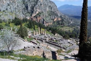 Z Aten: prywatna wycieczka po Delphi z porą lunchu