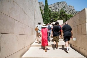 Athene: Dagtrip Delphi met gediplomeerde gids & toegangsbewijzen