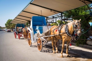 Ateenasta: Hydra, Poros ja Aegina -päiväristeily lounaalla.