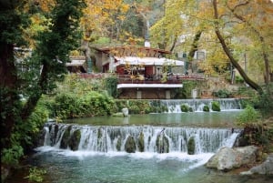 Vanuit Athene: Livadia, Thermopylae en warmwaterbronnen-tour