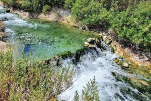 Vanuit Athene: Livadia, Thermopylae en warmwaterbronnen-tour