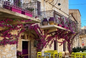 Från Aten: Privat dagstur till Mani med Dirosgrottorna