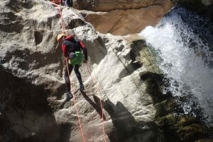 Au départ d'Athènes : Canyoning dans les gorges de Manikia