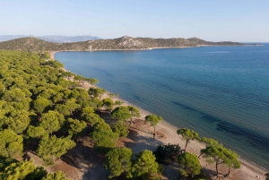 Da Atene: Campo di battaglia di Maratona Tour di mezza giornata in privato