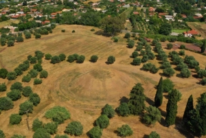 Da Atene: Campo di battaglia di Maratona Tour di mezza giornata in privato