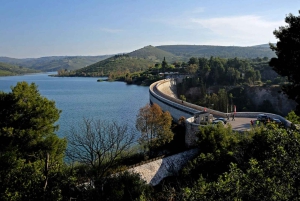 Vanuit Athene: Marathon Slagveld Halve Dag Privétour