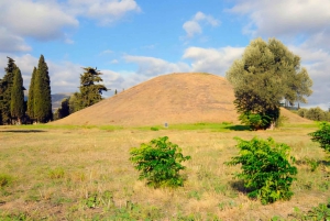 Vanuit Athene: Marathon Slagveld Halve Dag Privétour