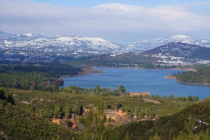 Vanuit Athene: Marathon Slagveld Halve Dag Privétour