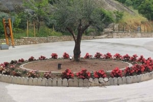 Från Aten: Meteora grottor och kloster dagsutflykt med tåg