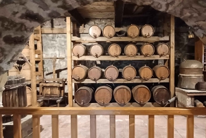 Depuis Athènes : Voyage en train aux Météores avec nuitée