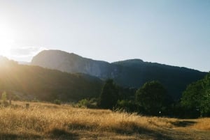 Z Aten: Jednodniowa wycieczka z przewodnikiem do Parku Narodowego Mt. Olympus