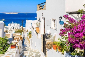 From Athens: Mykonos 2-Day Trip with Overnight Stay