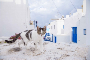 From Athens: Mykonos Day Tour by Plane and Ferry
