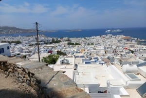 Från Aten: Dagsutflykt till Mykonos med färjebiljetter