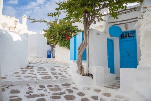 From Athens: Mykonos Day Trip with Ferry Tickets