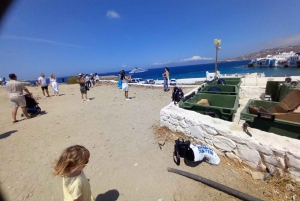 From Athens: Mykonos Day Trip with Ferry Tickets