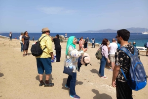 From Athens: Mykonos Day Trip with Ferry Tickets