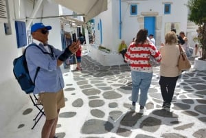 From Athens: Mykonos Day Trip with Ferry Tickets