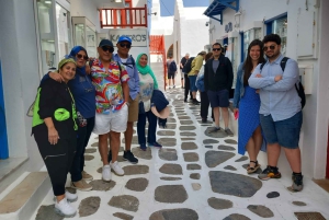 From Athens: Mykonos Day Trip with Ferry Tickets
