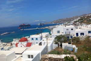 From Athens: Mykonos Day Trip with Ferry Tickets