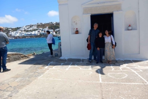 From Athens: Mykonos Day Trip with Ferry Tickets