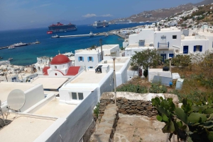 From Athens: Mykonos Day Trip with Ferry Tickets