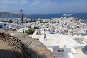 From Athens: Mykonos Day Trip with Ferry Tickets
