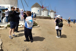 From Athens: Mykonos Day Trip with Ferry Tickets