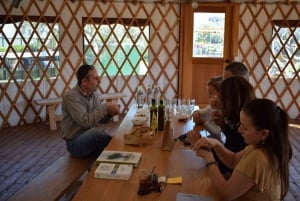 From Athens: Olive Oil Farm Tasting Experience