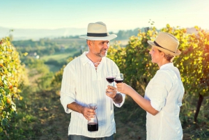 From Athens: Olive Oil Production & Wine Private Day Trip