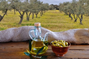 Da Atene: gita giornaliera privata alla produzione di olio d'oliva e vino