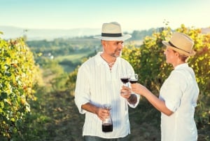 Z Aten: Prywatna jednodniowa wycieczka do produkcji oliwy z oliwek i wina