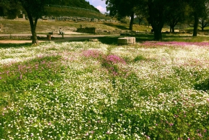 From Athens: Private Full-Day Tour of Ancient Olympia