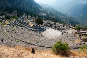Desde Atenas: Excursión privada a Delfos, el ombligo de la Tierra