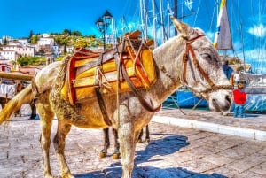 Ab Athen: Ganztägige Kreuzfahrt zu den Saronischen Inseln mit VIP-Plätzen