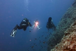 Depuis Athènes : Plongée sous-marine au Blue Hole