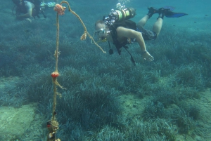 Från Aten: Dykning vid det blå hålet
