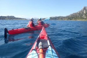 From Athens Sea Kayak Sunken City of Epidaurus