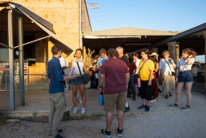 From Athens: Temple of Poseidon and Cape Sounion Guided Tour