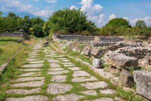 Au départ d'Athènes : Visite guidée d'une journée du parc national du Mont Olympe