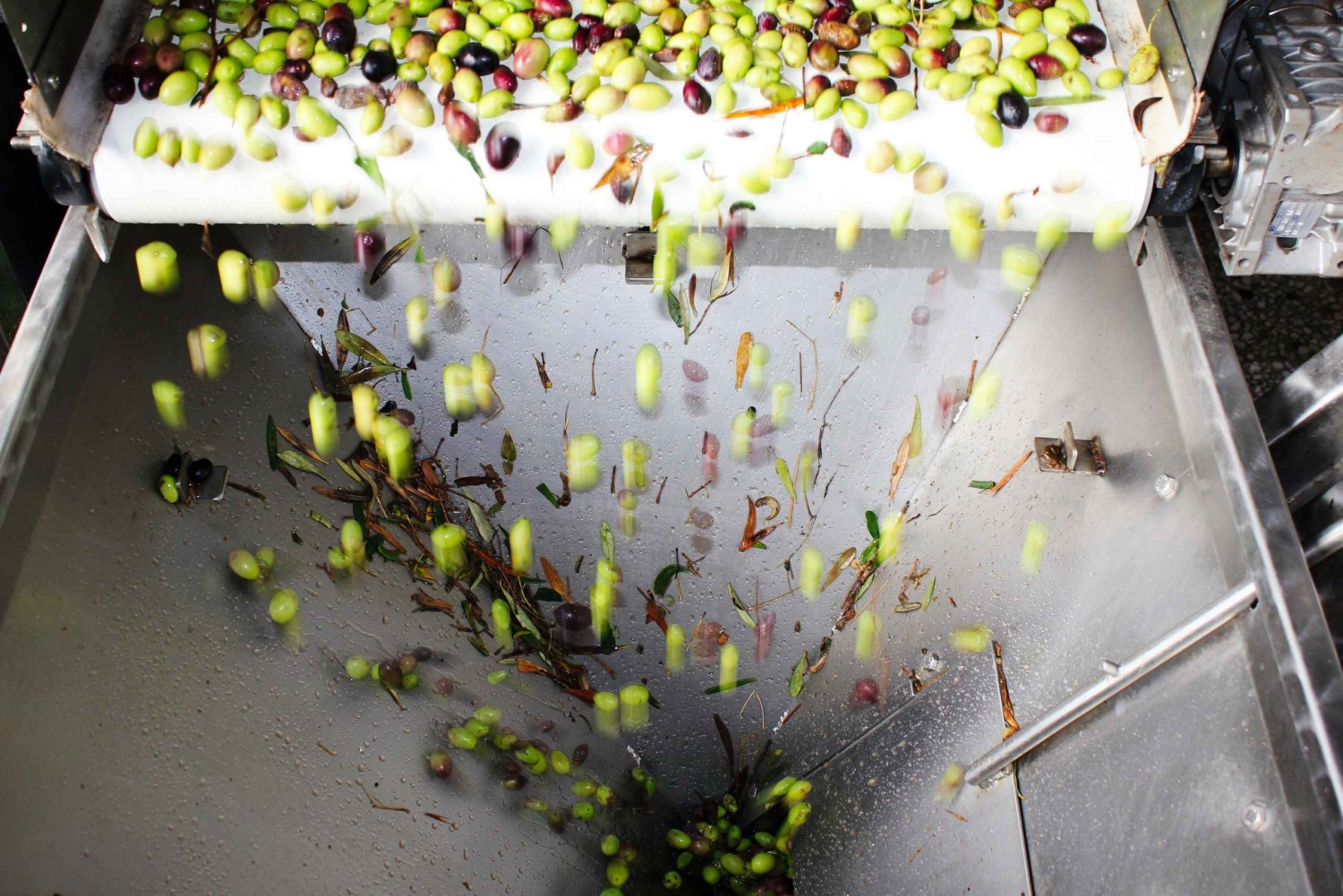 Från Aten: Vin-, olje- och ostprovning i Nemea och Argolis