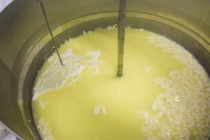 Ateenasta: Nemea & Argolis: Viinin, öljyn ja juustojen maistelu Nemeassa ja Argoliksessa.